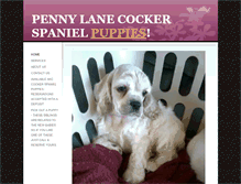Tablet Screenshot of pennylanecockerspaniel.com